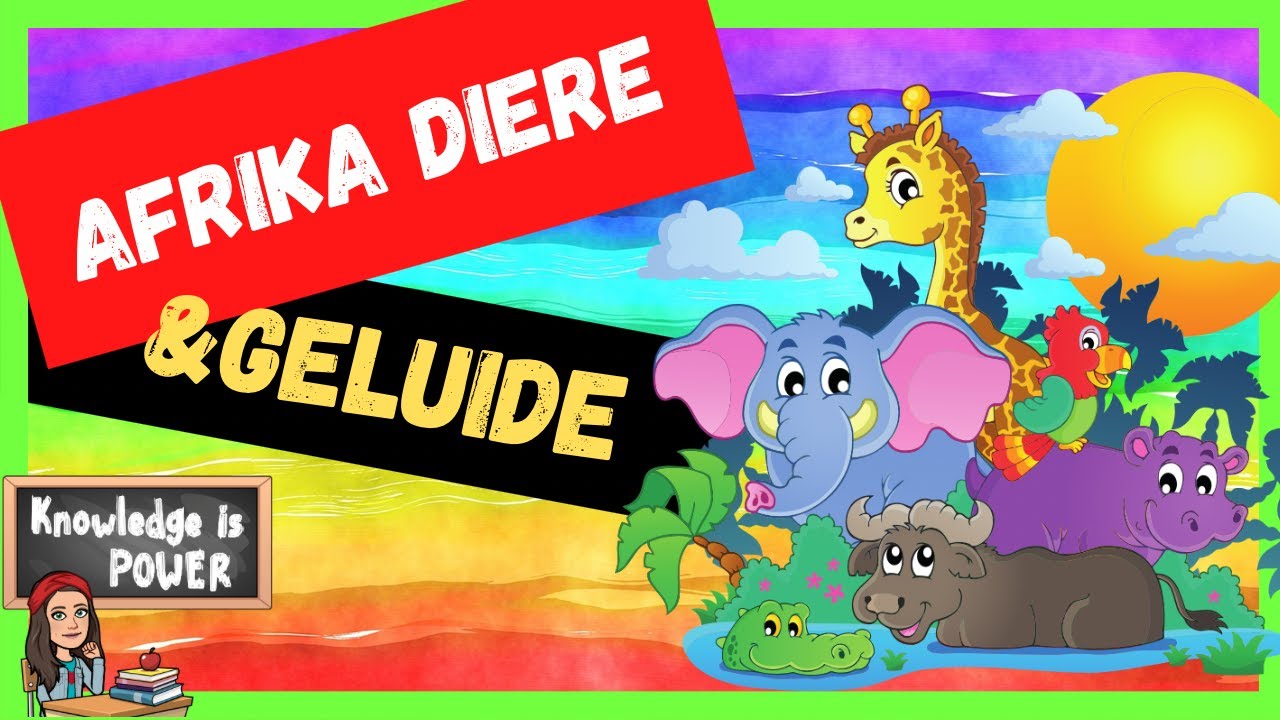 Afrikaanse kinder opvoedkundige video | Afrika diere en geluide #afrikaans #afrikaansvirkinders