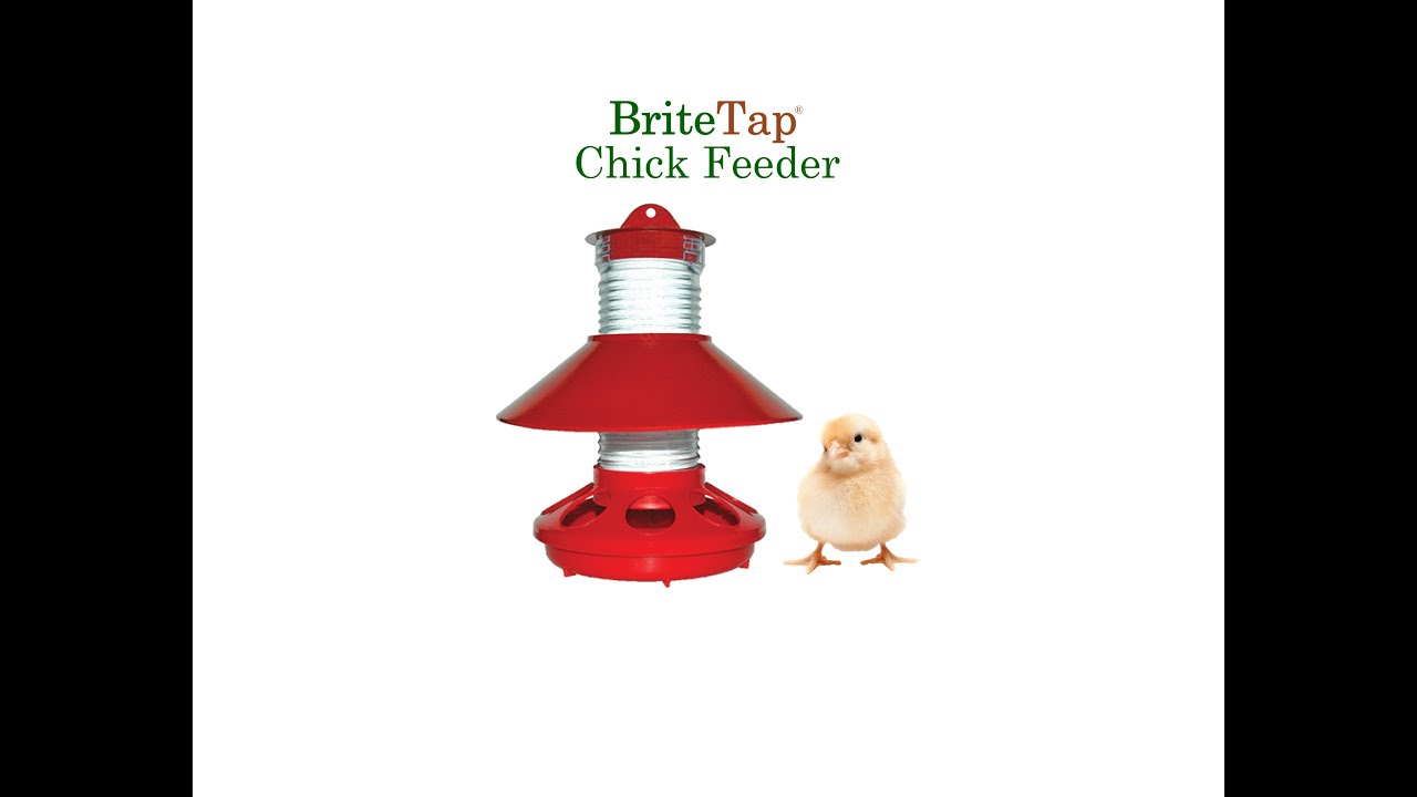 Chick & Chicken Feeder Set Up Instructions