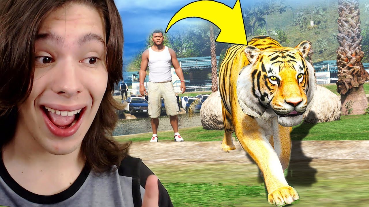JOGANDO GTA 5 COMO UM TIGRE!! (Incrível)