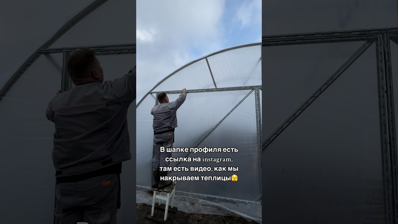 #малина #теплица #беларусь #клубника #пшехиба #брест #минск #agromaxx