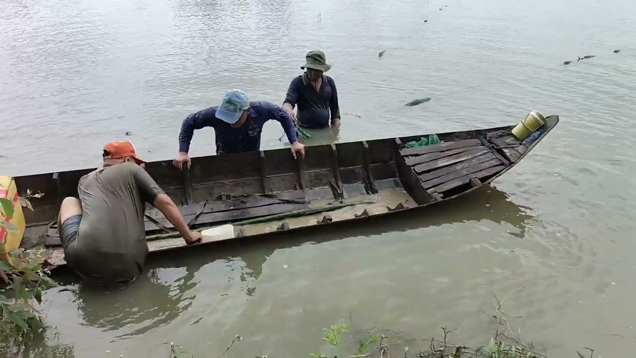 Tiếp tục cảnh kéo lưới đồng mùa nước cá nhảy thấy ham và cái kết