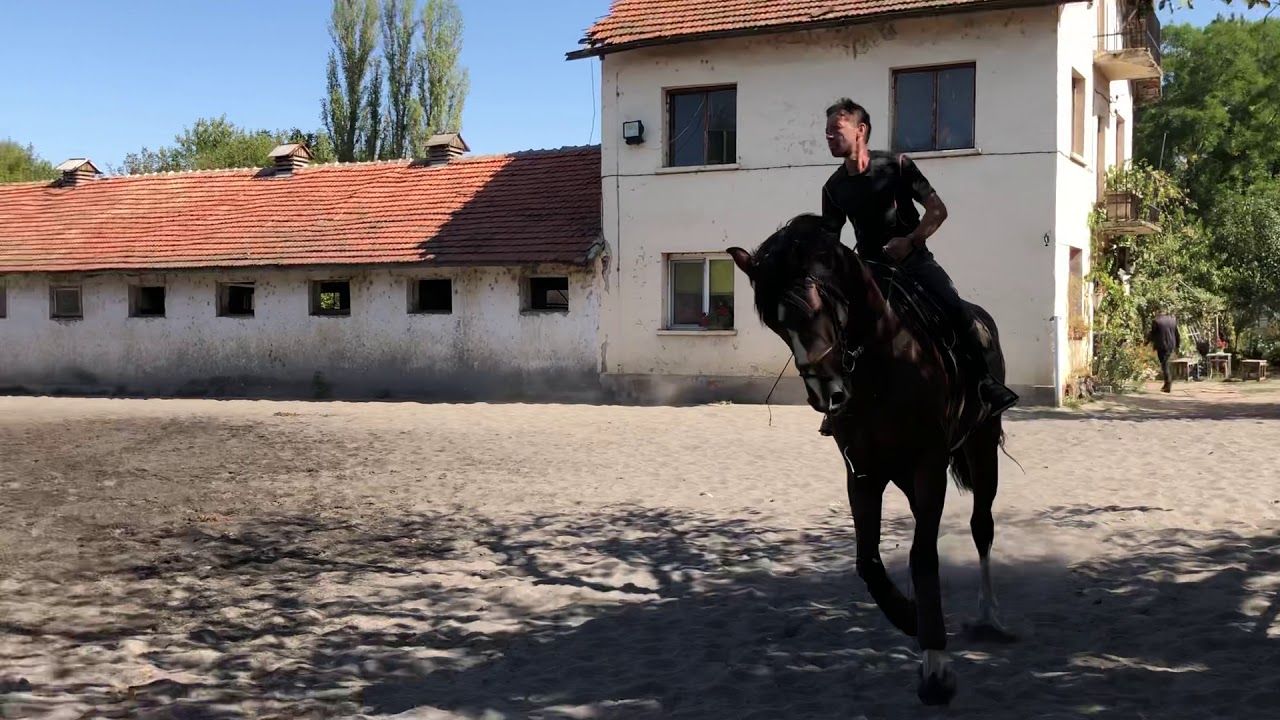 SOLD! Kafka VD Heffinck x Bisquet Balou
