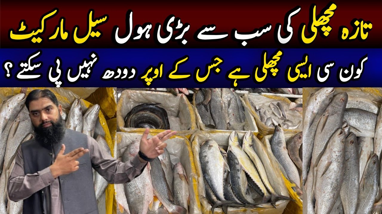 Fish Wholesale Market In Pakistan | Latest Sea Food Prices | Fresh Fish Arrival In Market 