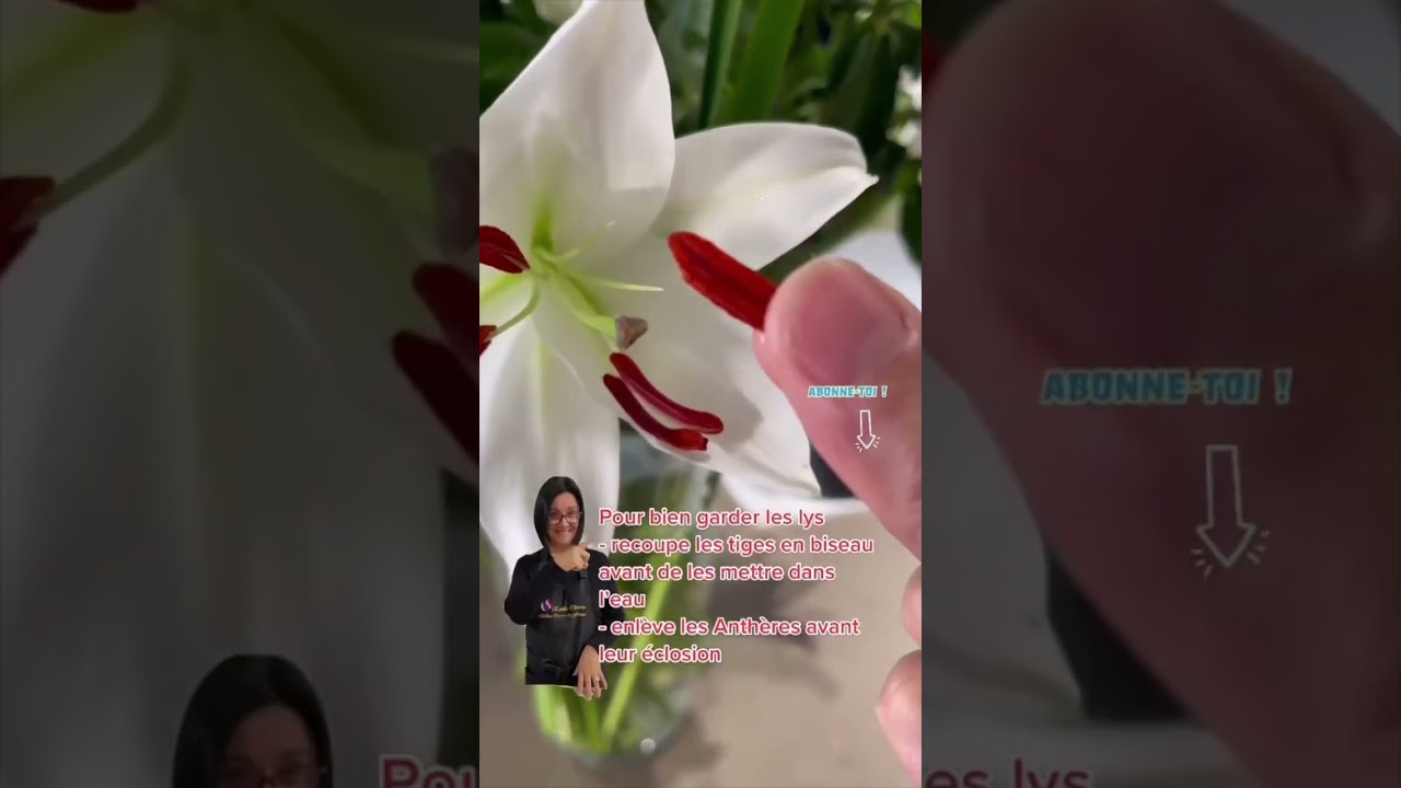 Astuce pour garder des lys plus longtemps