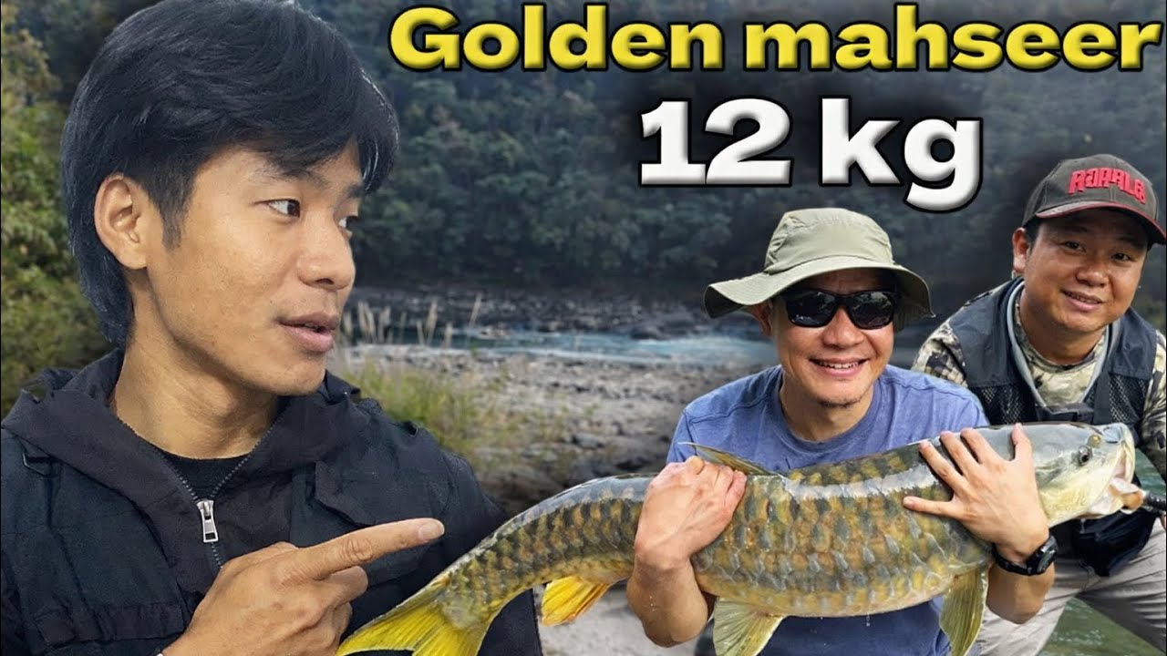 one day camping with anglers in the kameng river