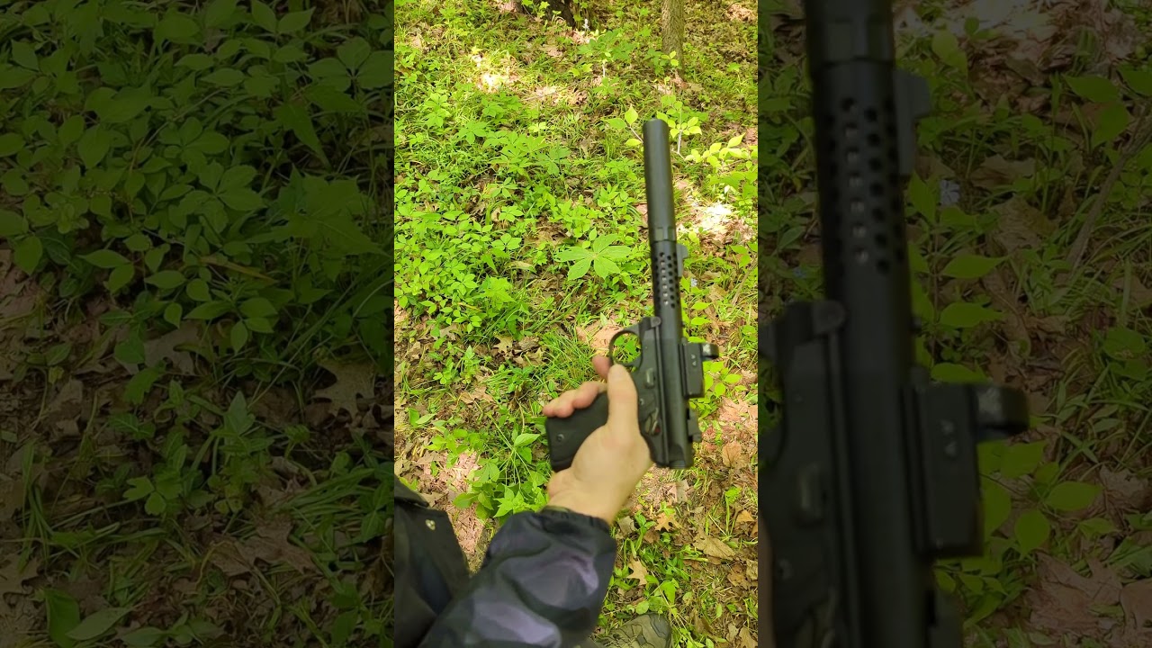 Silenced Ruger 22lr