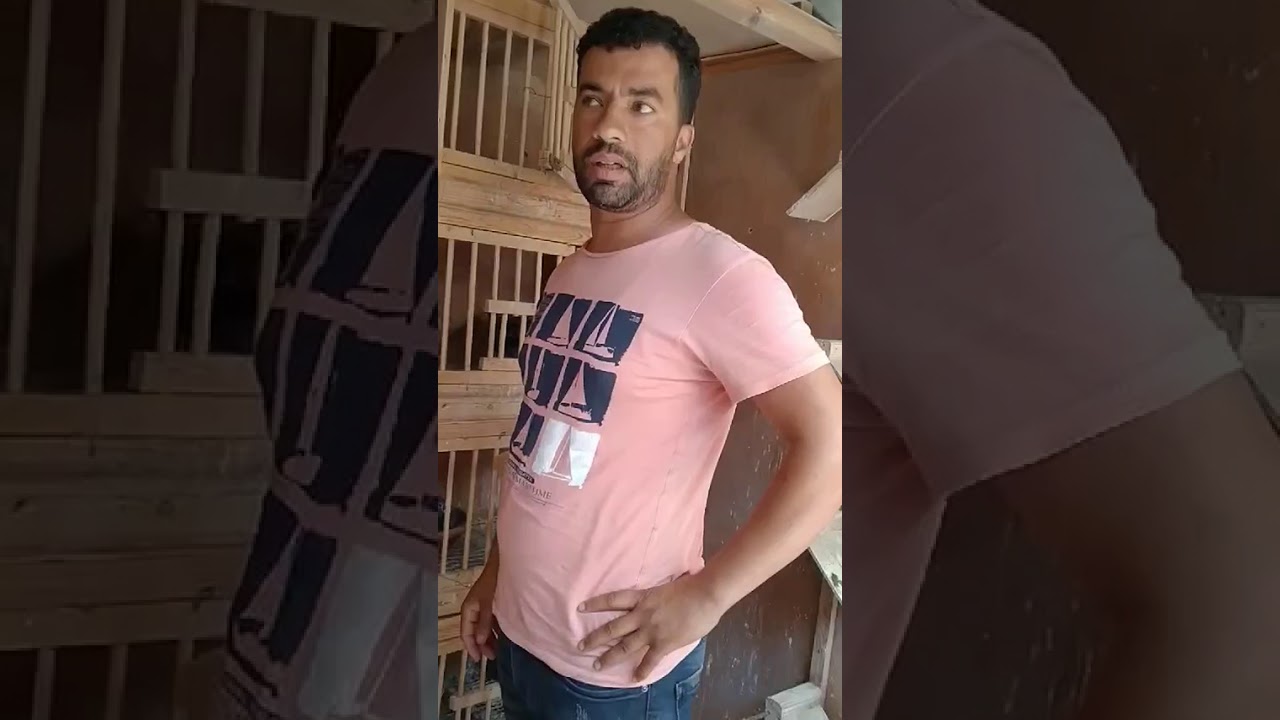 توليعة خفيفة للبطل الطونديم يونس رزقي القطري