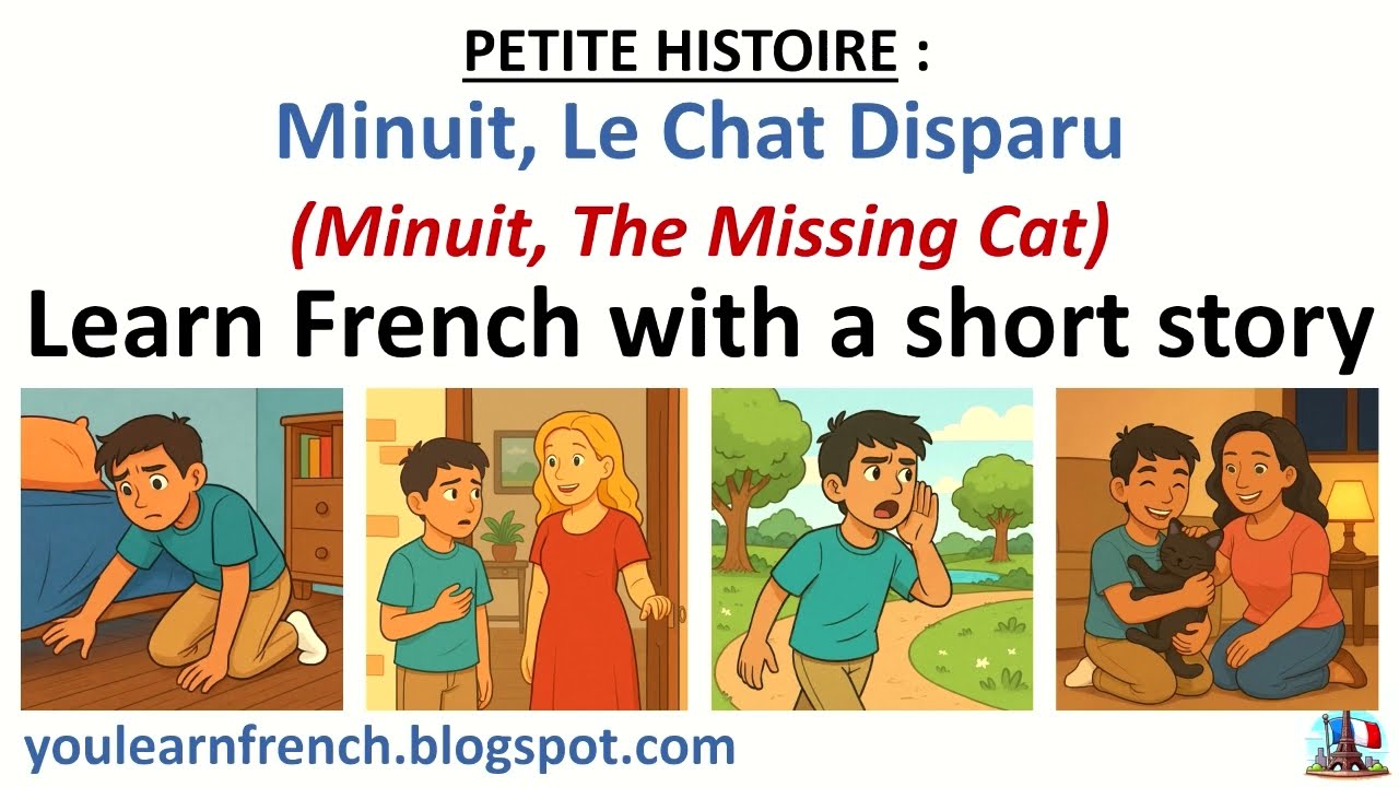 Learn FRENCH with a story - MINUIT, LE CHAT DISPARU (The Missing Cat) Animals Pets House Vocabulary