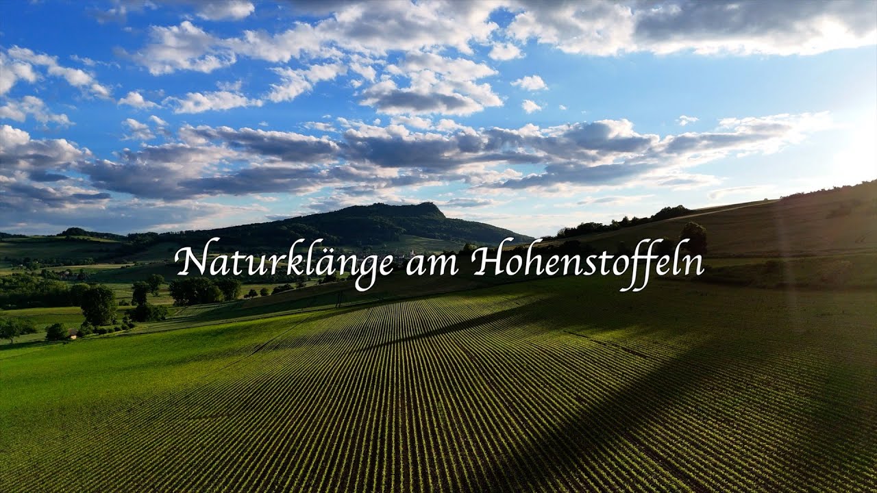 Der Hegau - Der Hohenstoffeln im Sommer