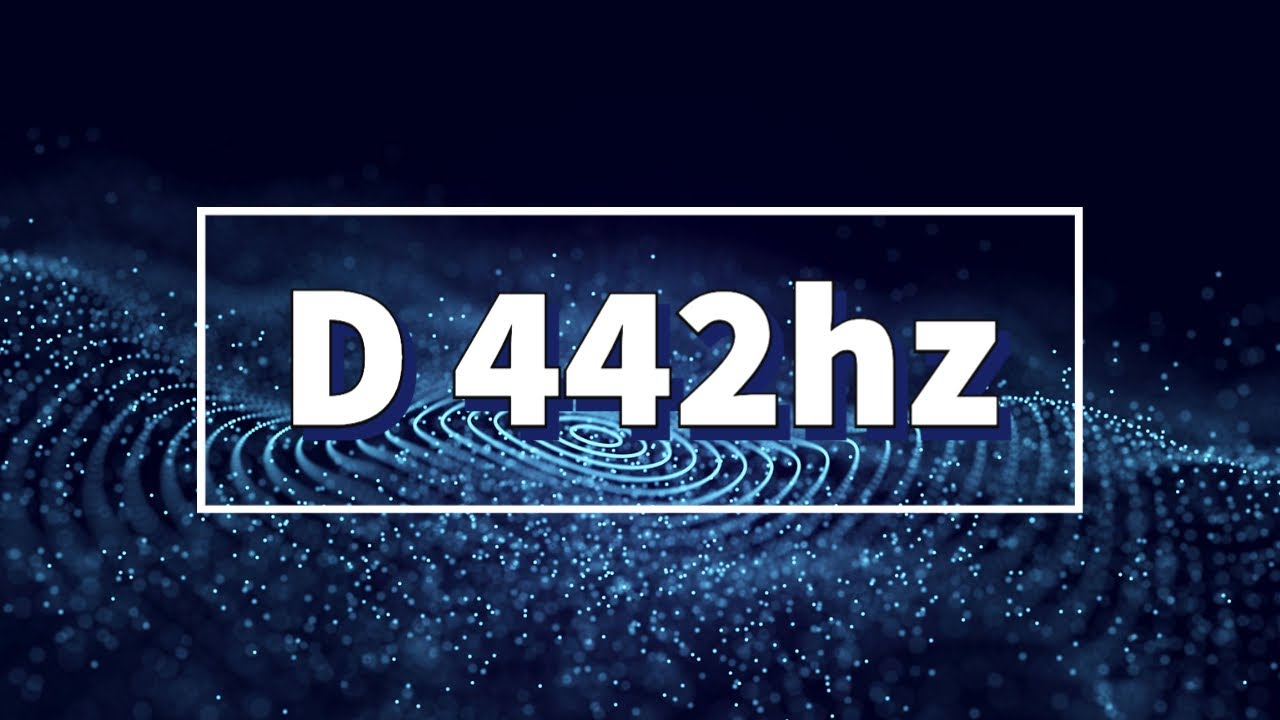 ESTUDIA AFINACION | D 442hz 4K | DRONE-NOTA PEDAL | TheExcerptClub