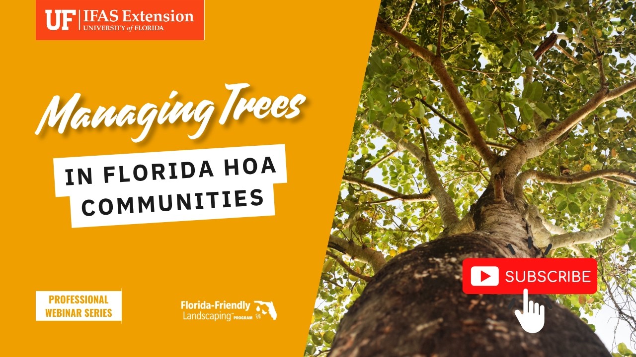 Community Canopy: Managing Trees and Expectations
