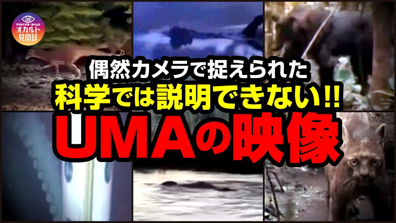 【映像】偶然カメラが捉えられた科学では説明できないUMAの映像