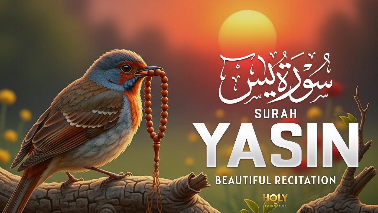 Surah Yasin(سورة يس) Beautiful Quran Recitation That Inspires True Devotion