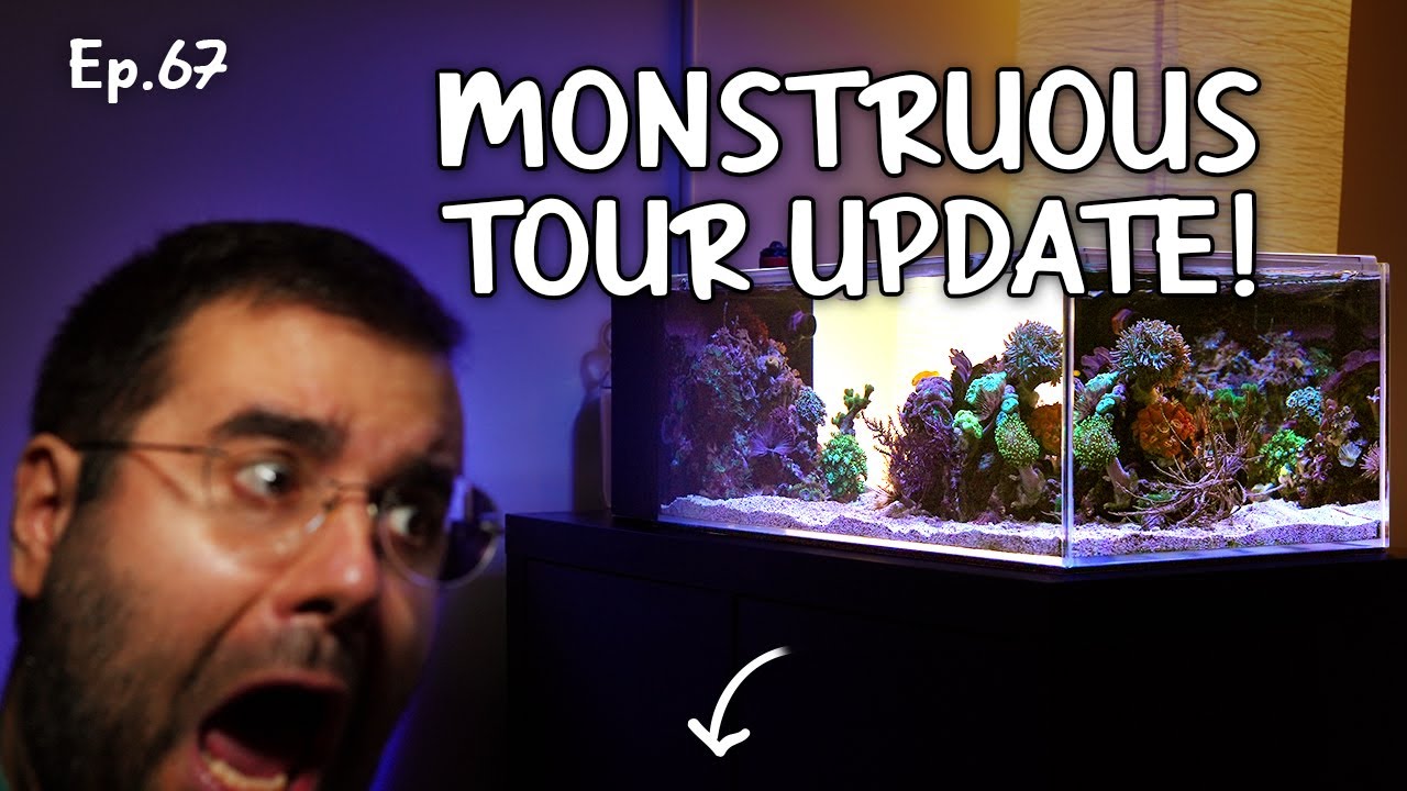 LEARN SOMETHING NEW OR I REFUND YOU | Ep.67