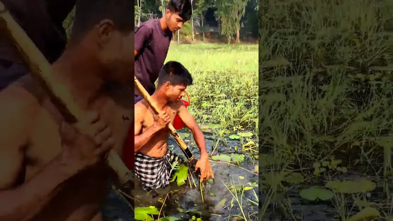 Excellent Village Style Teta Fishing by Village people