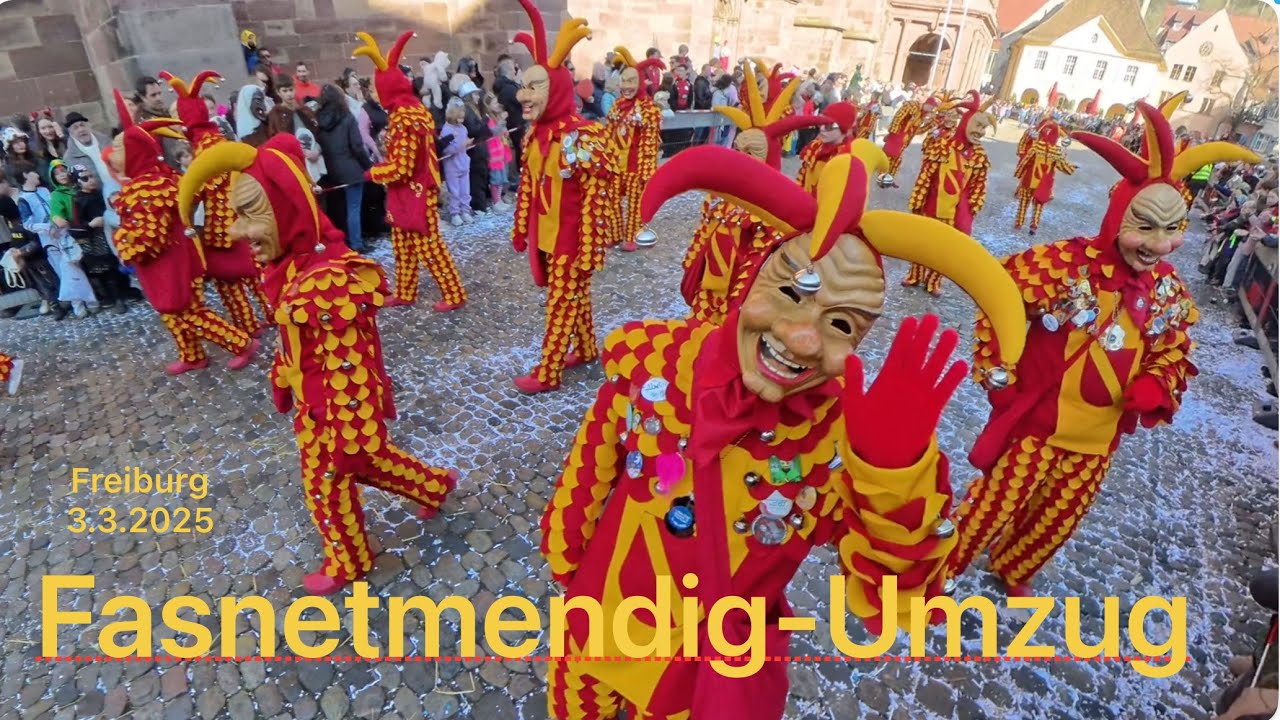 🎎👺 Rosenmontagsumzug - Freiburg 3.3.2025