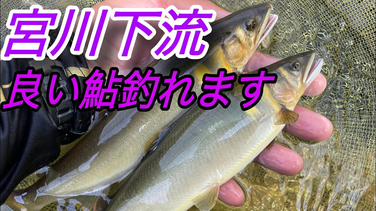 宮川下流。良い鮎釣れます。