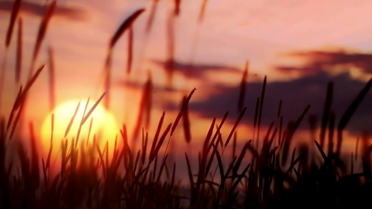 📿  Švč. Mergelės mazgų išrišėjos novena – 4 diena🙏