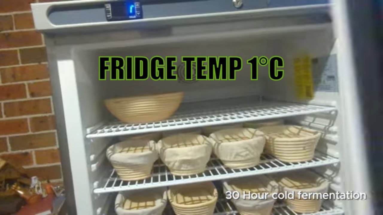 My First YouTube Video: Saving Overproofed Sourdough with Fridge Trick
