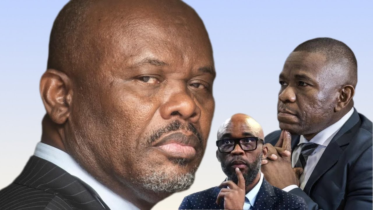 WATCH | Witness F denies ever sitting in a meeting with Sibiya and Motsumi