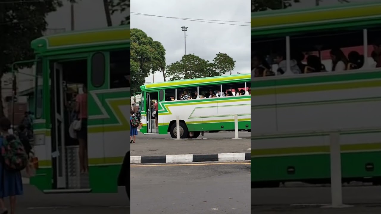 FIJI #travelvlog #travel #trendingshorts #travelling #fiji #pacificislands #pacific #islandlife