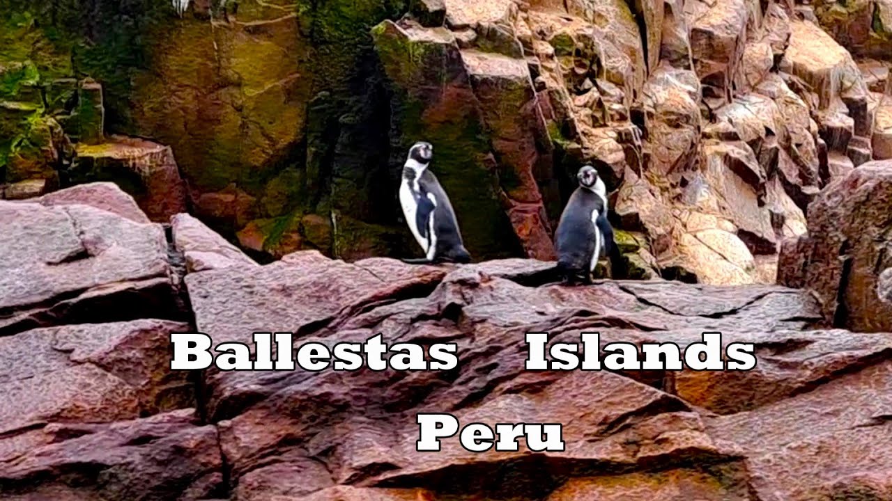 Ballestas Islands, Paracas, Peru.