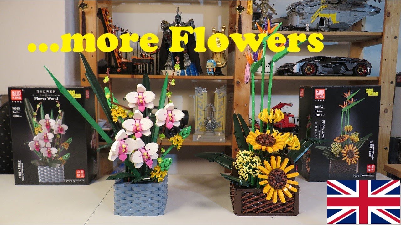 MOULD KING - World Flowers - 10024 birds of paradise & 10025 eternal butterfly - Duo Review