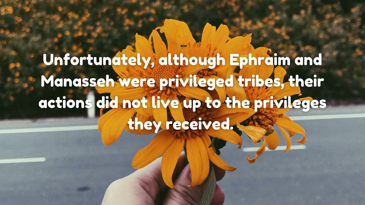 Reflection: Not Living Up to Privilege, Joshua 16:1-17:18