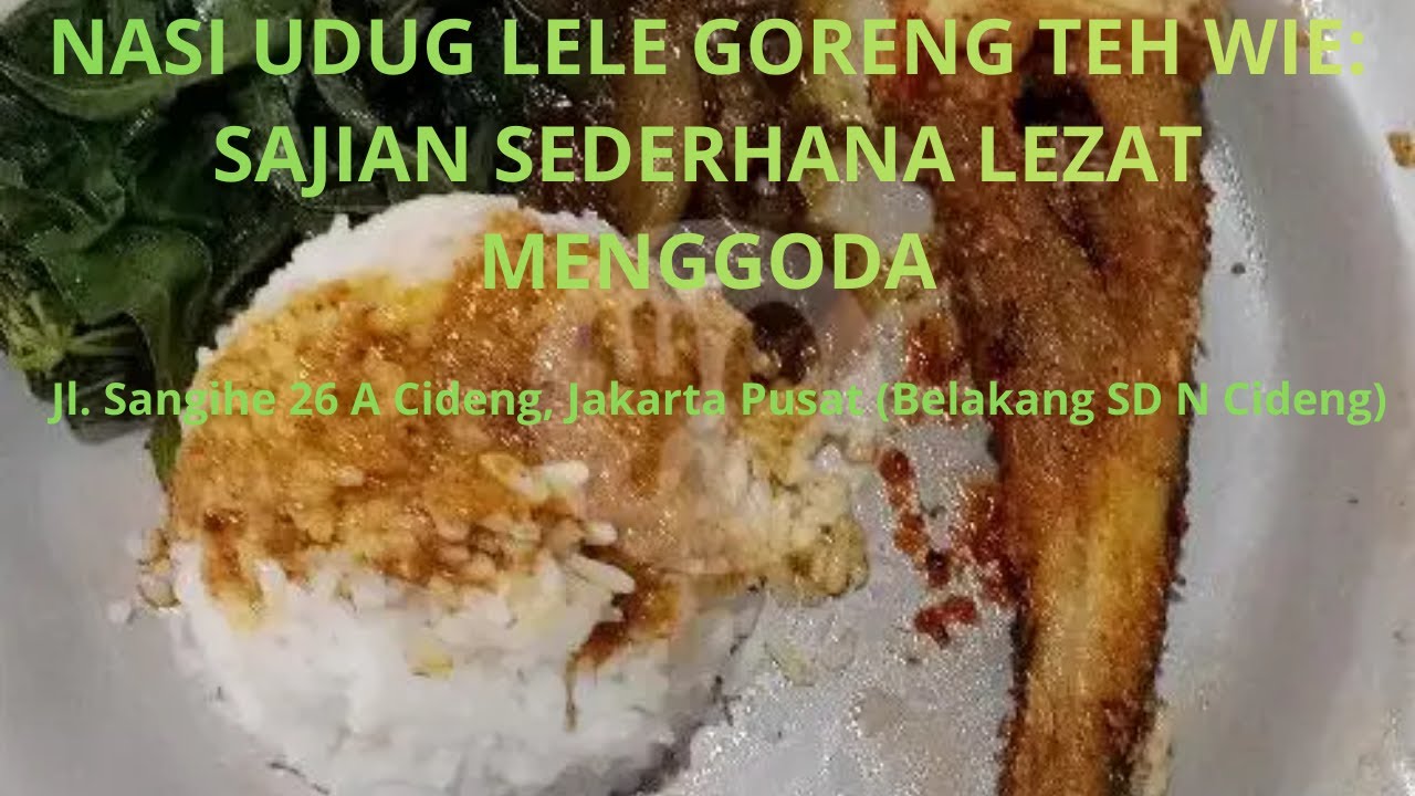 NASI UDUG LELE GORENG: SAJIAN SEDERHANA YANG LEZAT