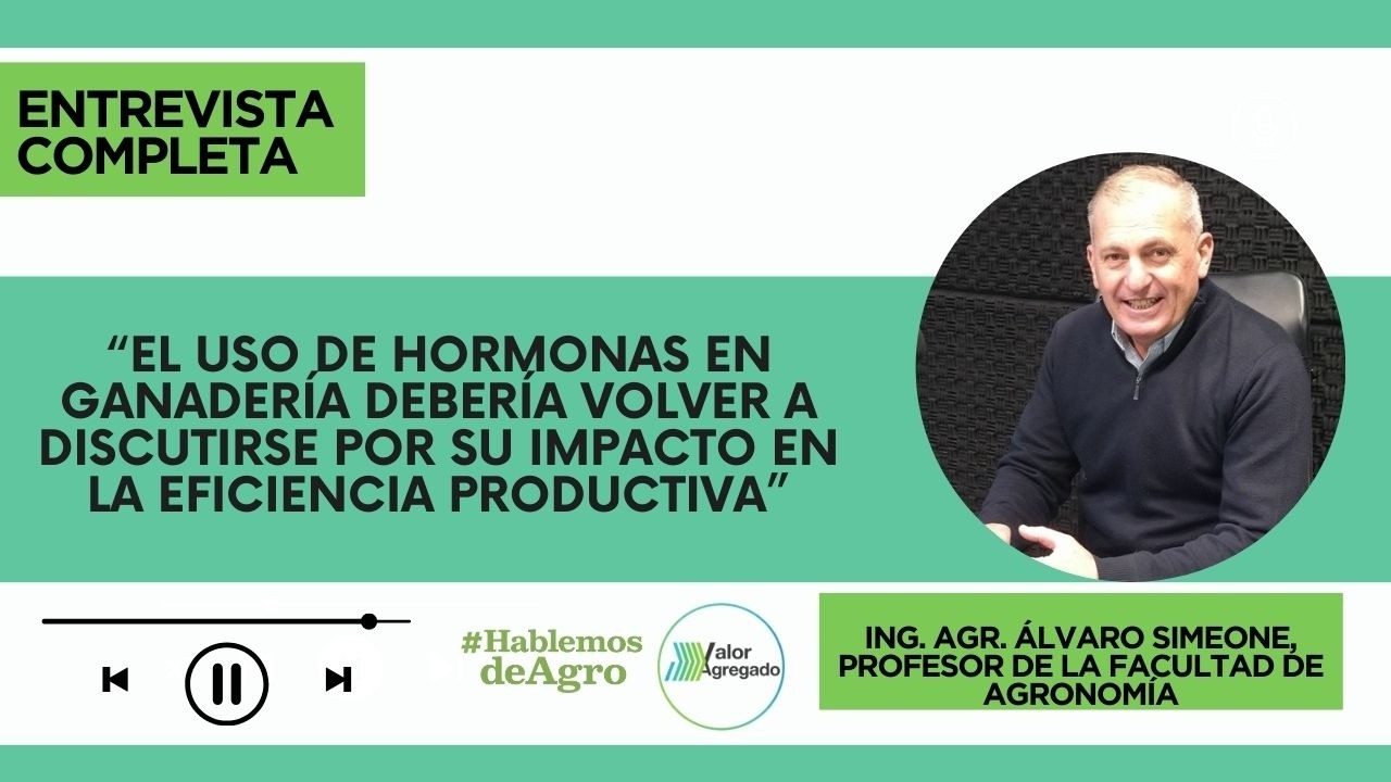 Ing. Agr. Álvaro Simeone, Profesor de la Facultad de Agronomía