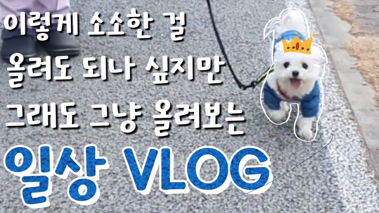 한국에서의 마지막 브이로그 | 소소한 일상 with Family Park, 구독자와의 만남, 먹고 싶었던 대구막창, 양꼬치, 2022 신년회, 독일 출국