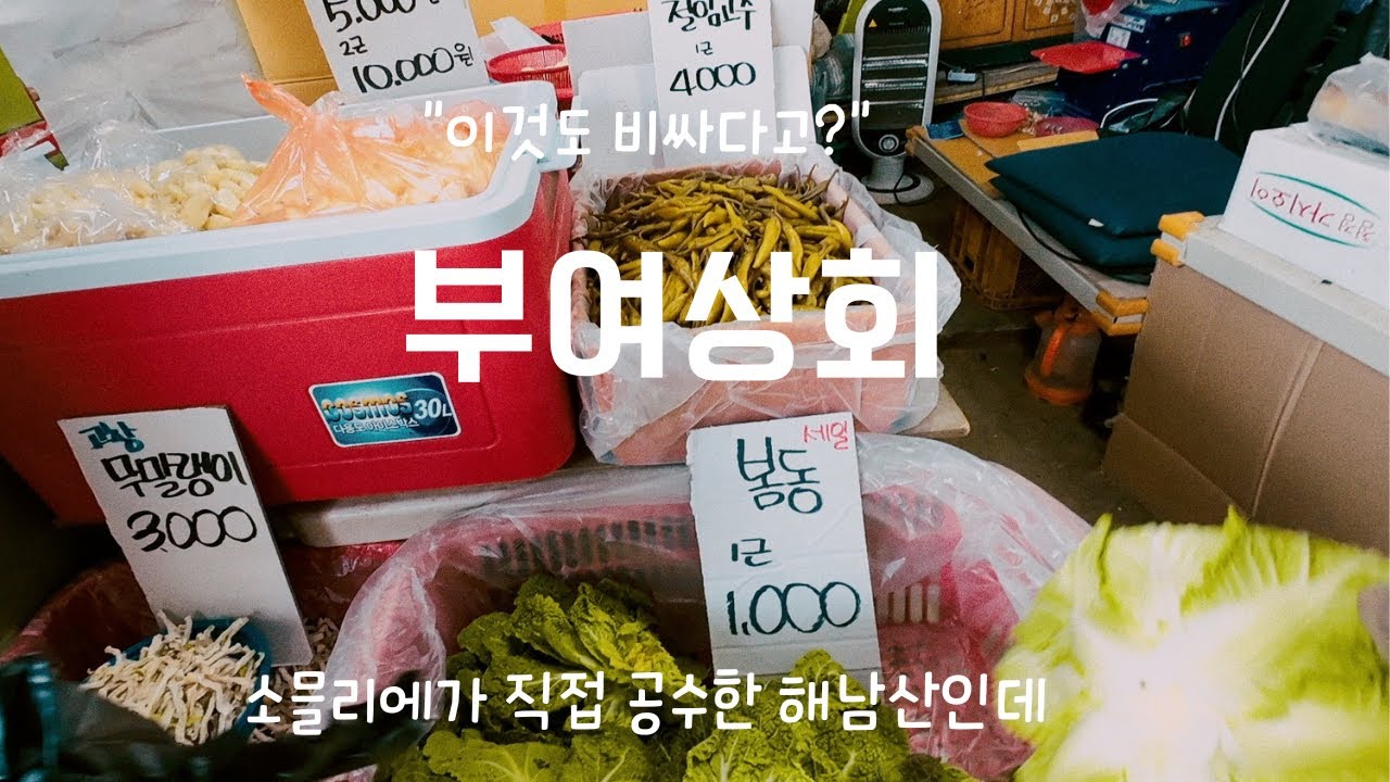 손님은 모르는 1,000원의 가치 야채 장사 참 힘드네 (중동사랑시장 부여상회)