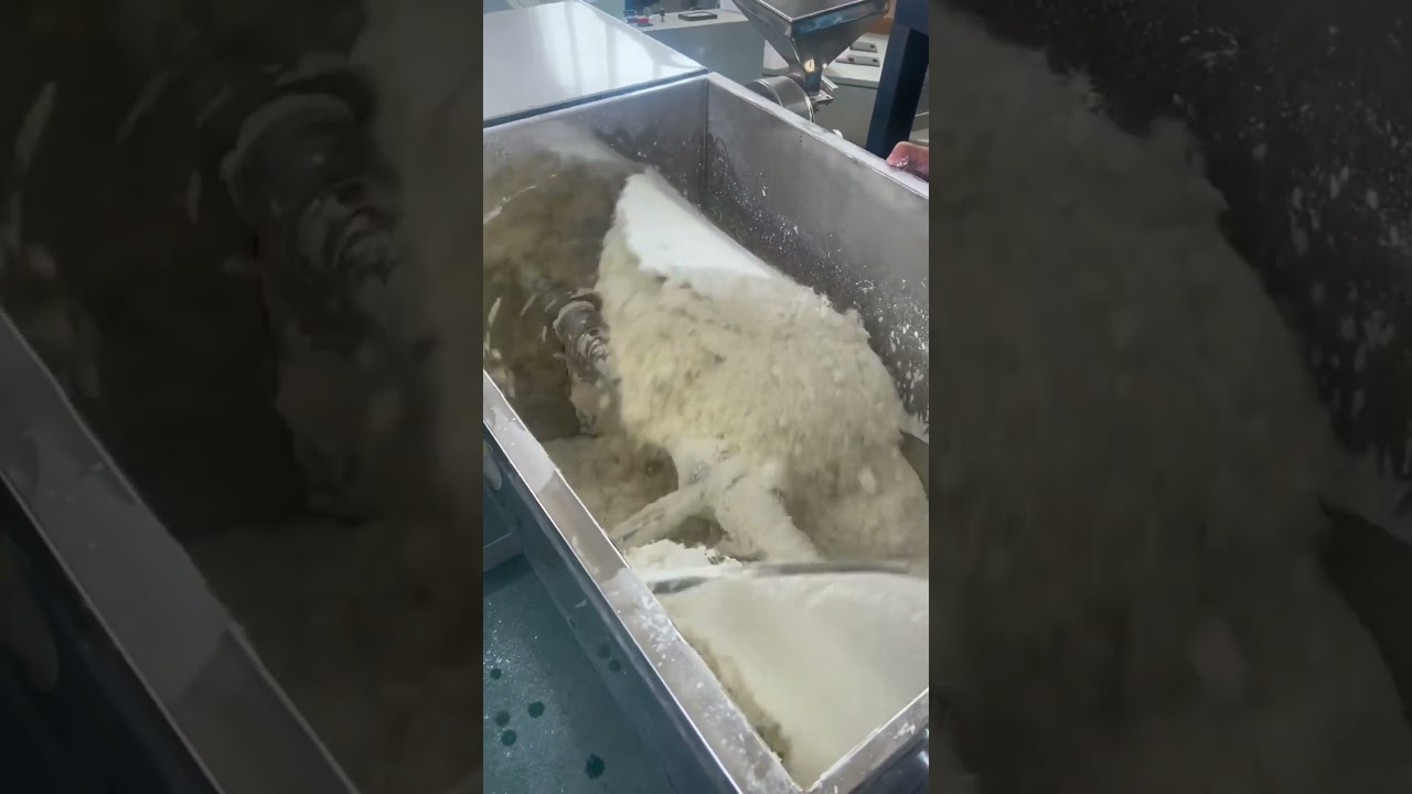 Milk powder horizontal mixer