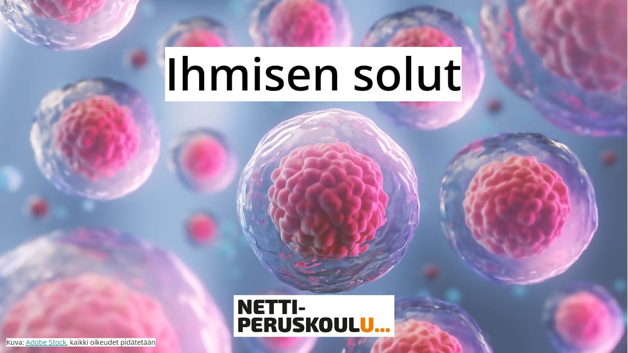 ayl1: Ihmisen solut (perusopetus)