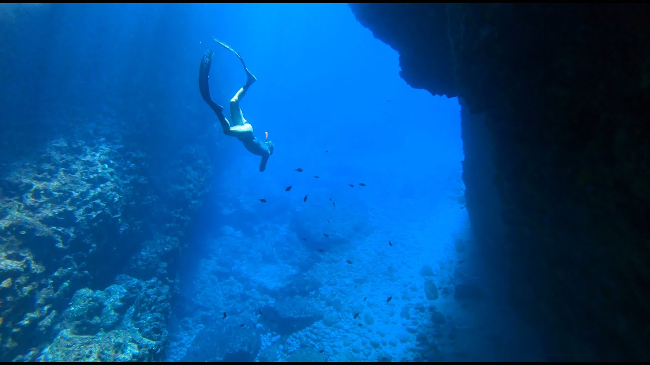 Freediving in Mljet National Park & Makarska Croatia Underwater Forest Snorkeling