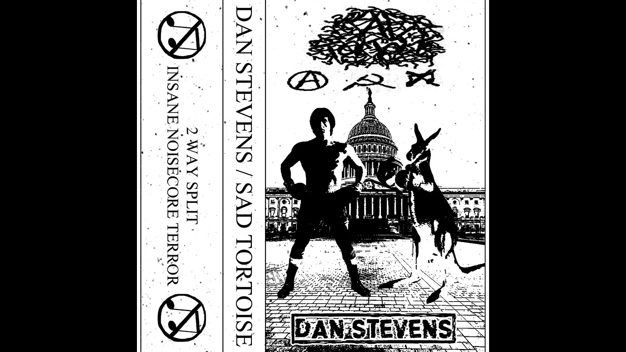 Sad Tortoise / Dan Stevens - split 2026 (Noisecore)
