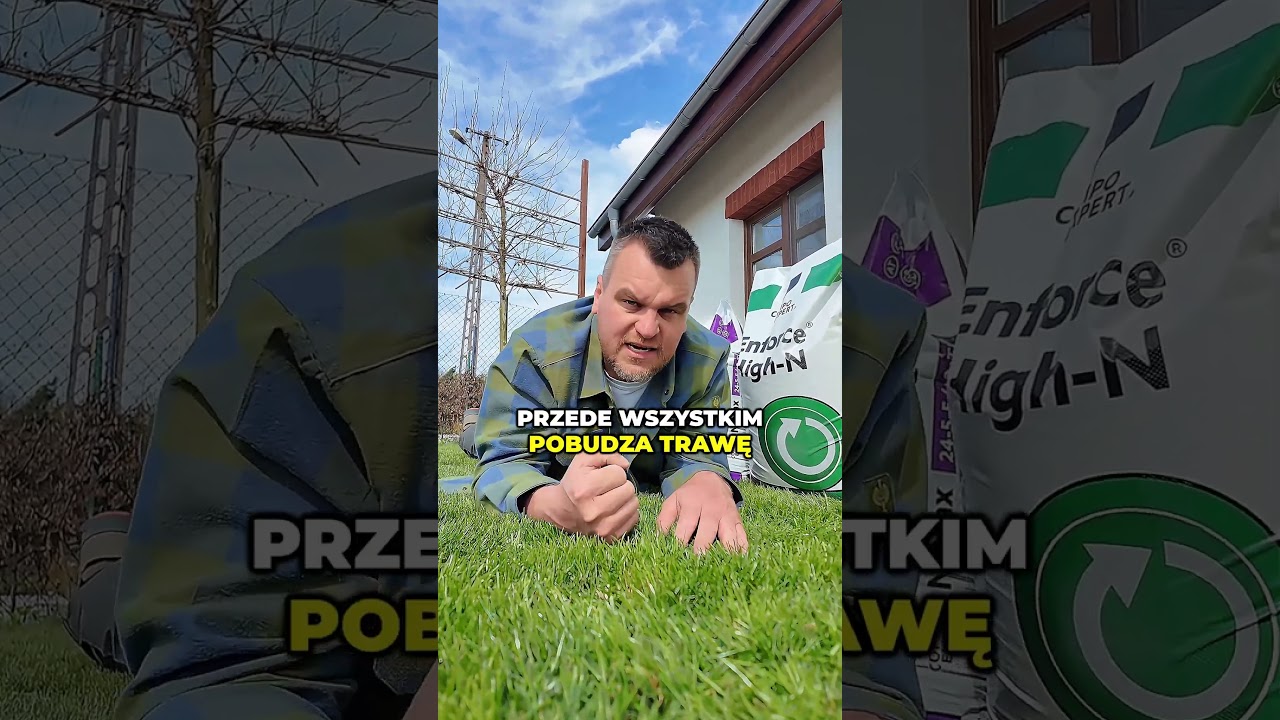 Czym nawozić trawnik na wiosnę?