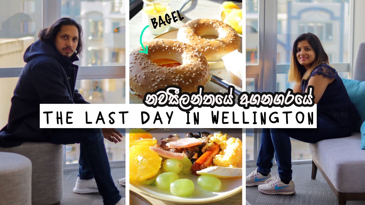 How We Spent Our Last Day In Wellington City | New. Zealand | Sinhala -The Odd Couple Sri Lanka