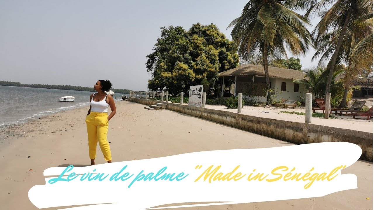 Miami du Sénégal: Extraction de vin de palme sur l'île Ehidj #35