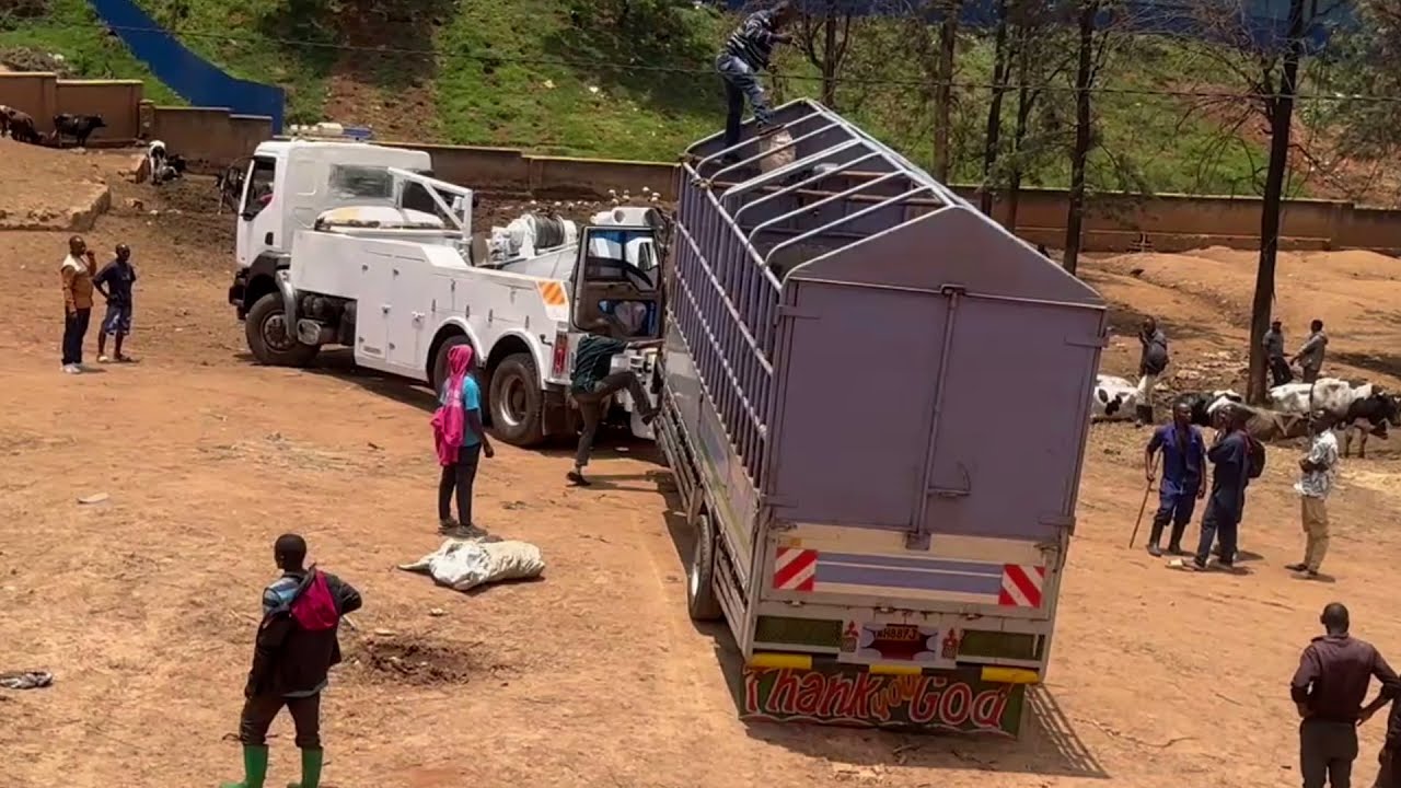 ESE KOKO FUSO YARIPAKIYE URUMOGI ?? UKURI KOSE KURAMENYEKANYE .