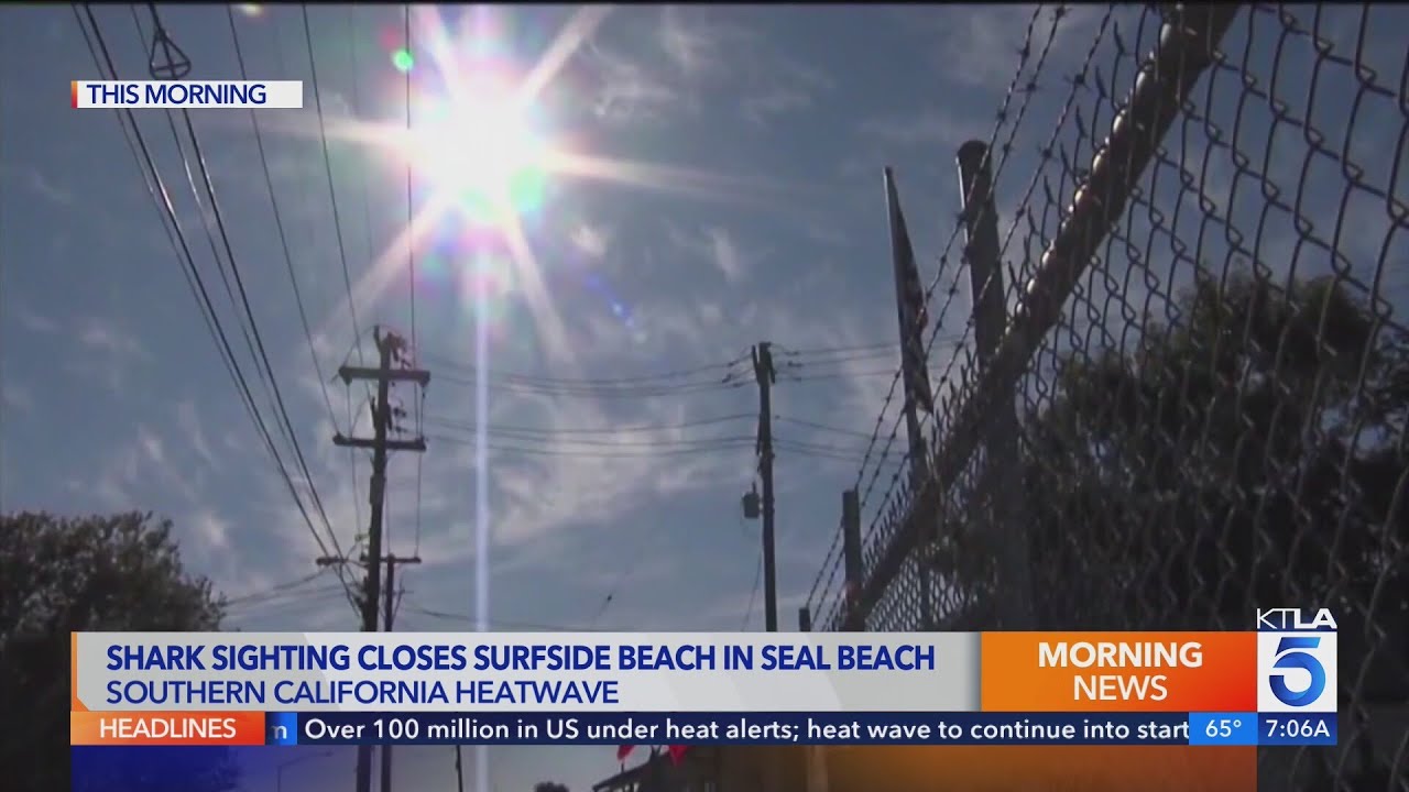 Shark sighting closes Surfside Beach in Seal Beach as heat wave rages on