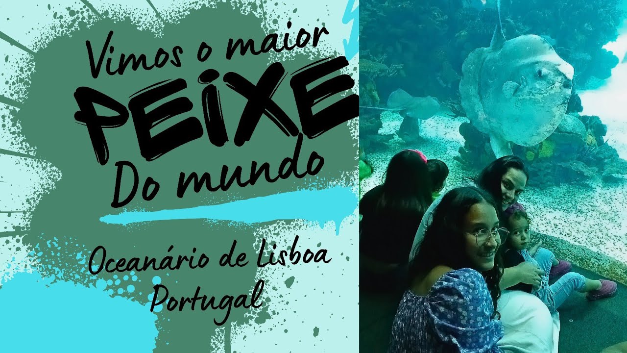 Conhecemos o OCEANÁRIO DE LISBOA - Portugal, muito peixe em um único lugar.