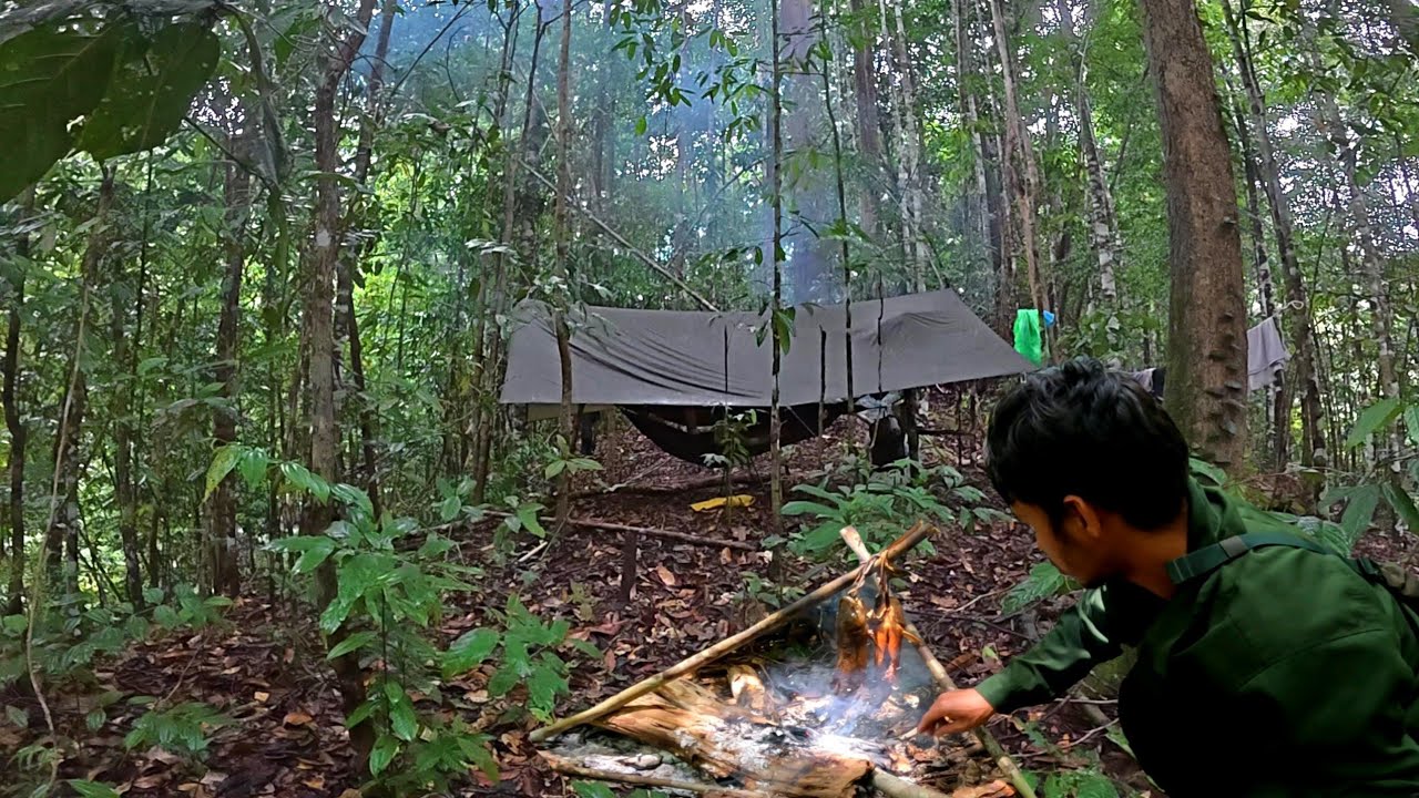 Camping fishing di tengah hutan kalimantan mencari ikan baung di musim hujan 