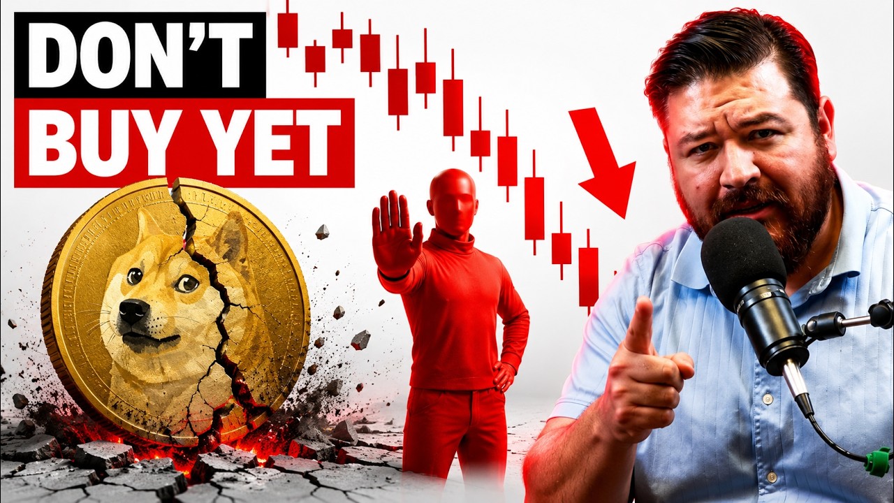 The Pattern Nobody's Talking About in DOGE