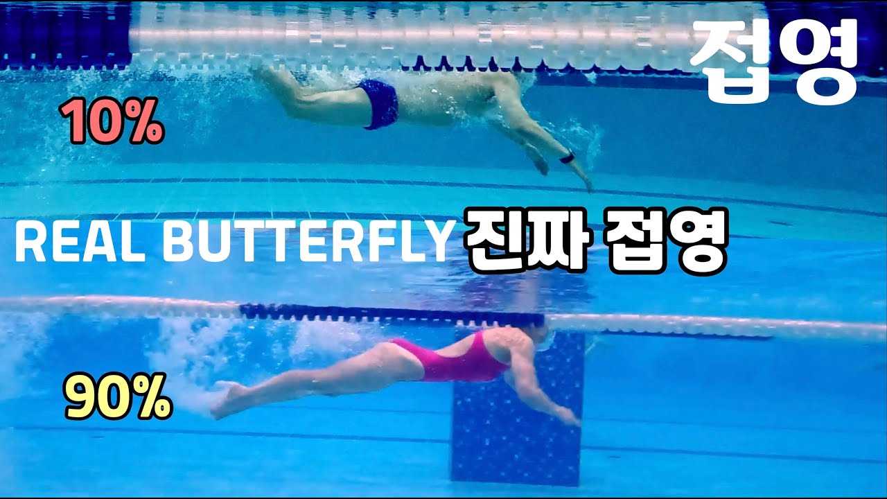몸을 쓰는 접영 / 안쓰는 접영 (피드백포함)