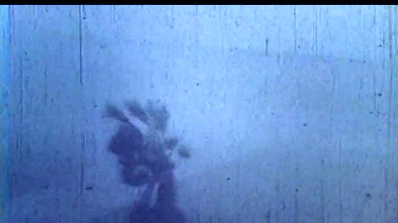 47th anniversary of Hurricane Celia