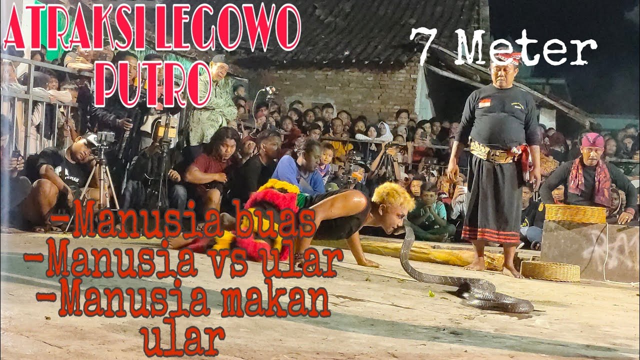 ATRAKSI LEGOWO PUTRO LIVE PACE KULON NGANJUK