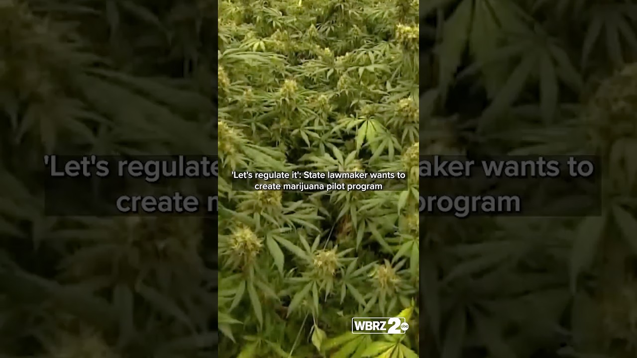'Let's regulate it': State lawmaker wants to create marijuana pilot program
