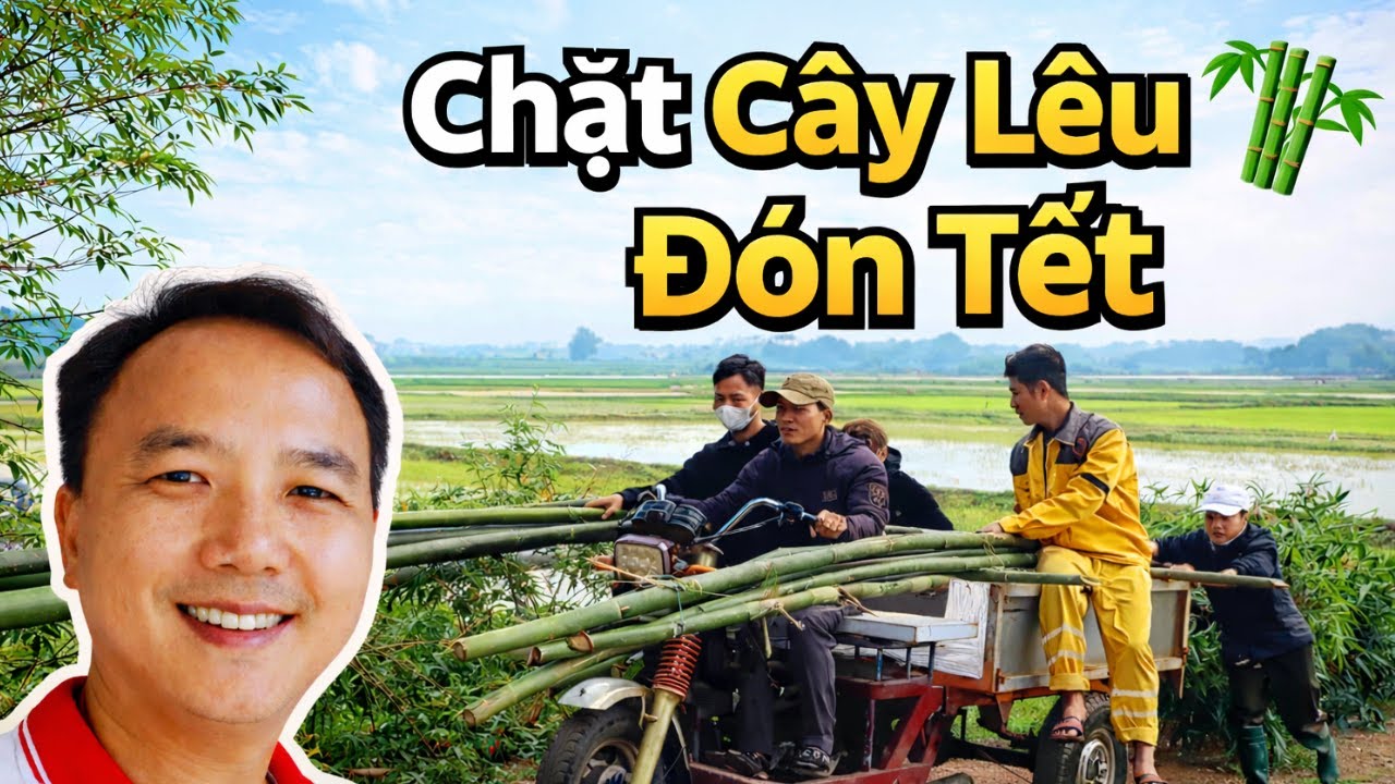 Chặt Cây Nêu Đón Tết , Không Khí Tết Quê Mộc Mạc Bình Yên