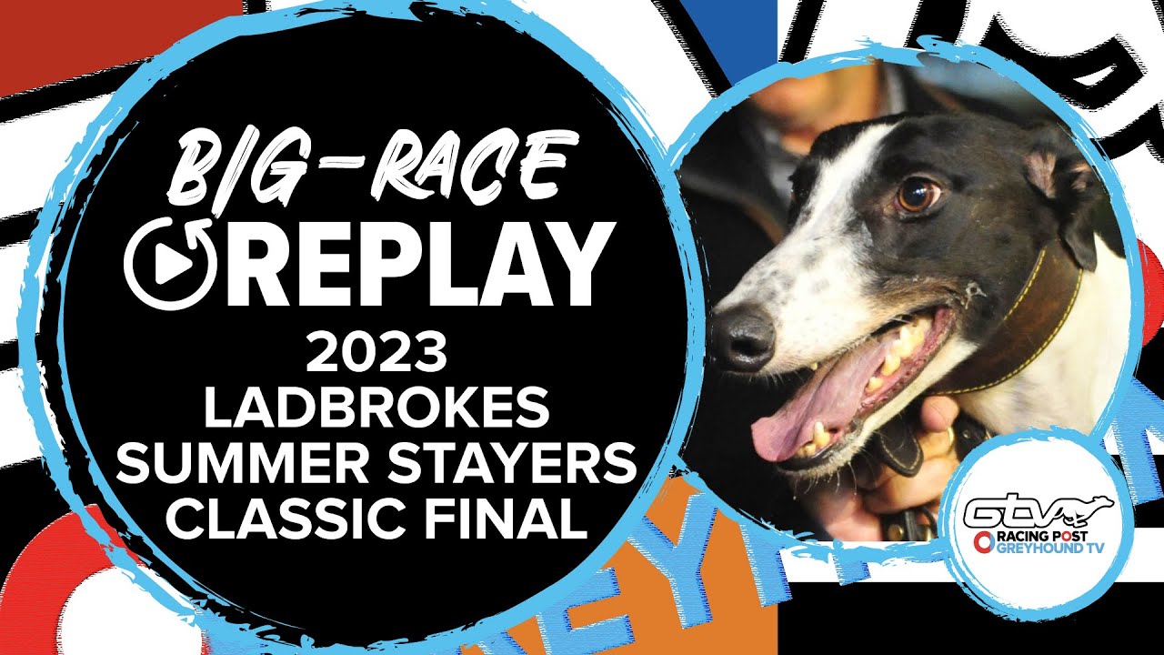 2023 Ladbrokes Summer Stayers Classic - Fromposttopillar | Greyhound Replays | 2023 Big Finals